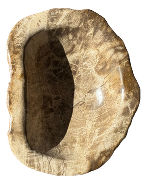 Oval Beige Petrified Wood Bowl, 1980s