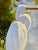 2010s White Egret in Marsh Landscape — Serene Original Oil Painting by P. Charles For Sale - Image 5 of 8
