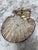 Shabby Chic Natural Adorned Sea Shell Trinket Tray For Sale - Image 3 of 7
