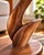 2020s Handcrafted Black Walnut Cardinal Accent Table | Sculptural Nature Art For Sale - Image 5 of 10