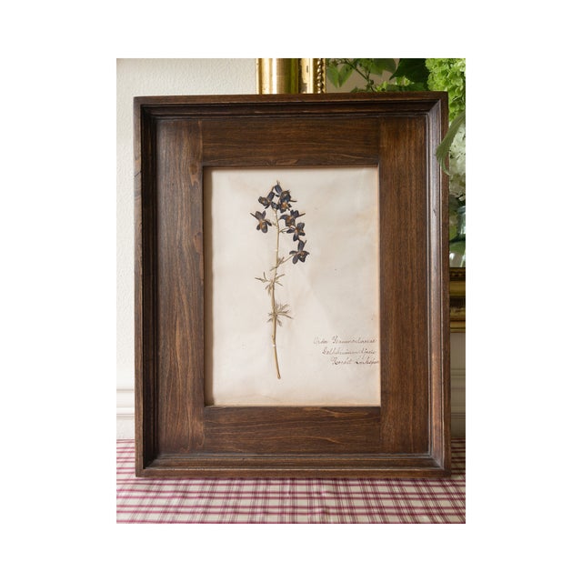 Rustic European Antique Swedish Herbarium - Delphinium, Circa Late 19th Century For Sale - Image 3 of 9
