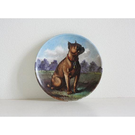 A rare an unusual late 19th century hand-painted porcelain dish featuring a boxer dog by viennese luxury retailer gebruder...