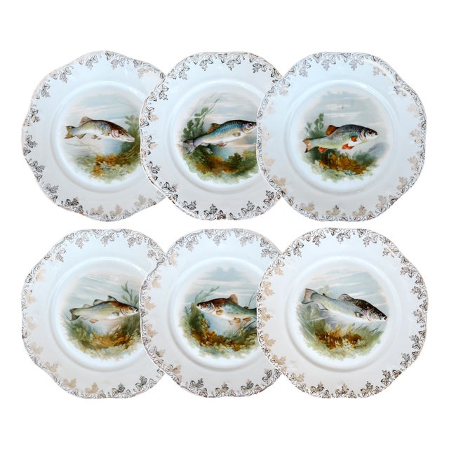 Antique Continental Porcelain Fish Plates – Set of 6 For Sale