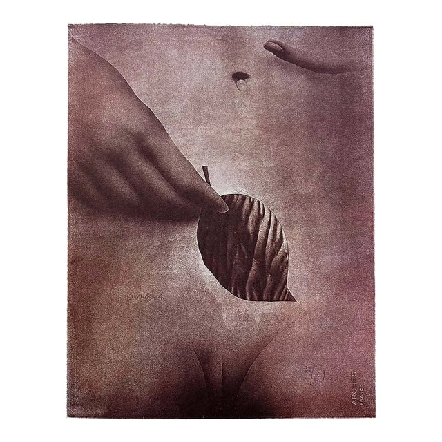 1974 Paul Wunderlich 46 La Feuille For Sale