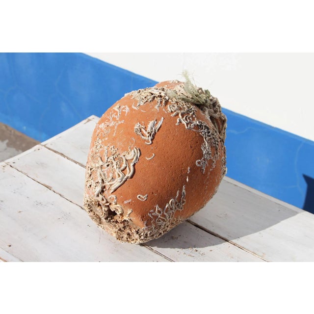 19th Century Antique Terracotta Octopus Trap Undersea Pot For Sale - Image 12 of 13