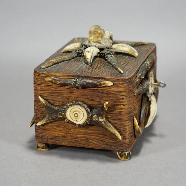 Wooden Black Forest Casket With Antlers Decoration Circa 1900s For Sale - Image 4 of 8