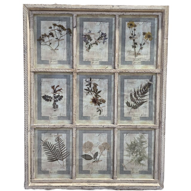 Decorative Panel with Framed Botanical Composition, 1920s For Sale - Image 14 of 14