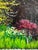 Paint Contemporary Steve Schaaf Among the Water Lilies Oil Painting For Sale - Image 7 of 11