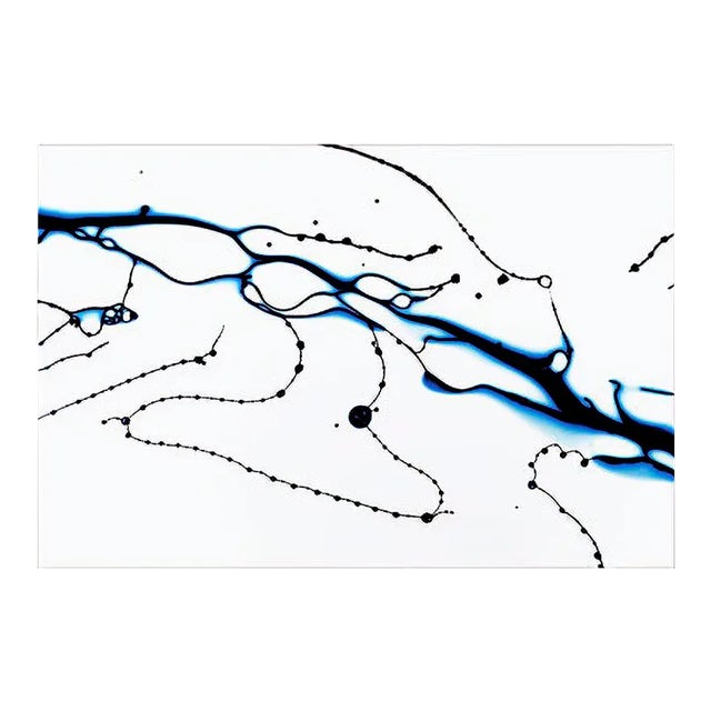Michael Banks, Fluidity 1, 2013, Photograph For Sale