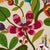 Schumacher Schumacher Modern Botanical Embroidery Fabric In Paradise For Sale - Image 4 of 5