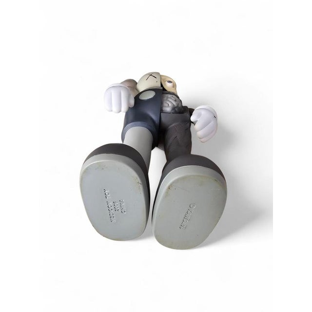 Extremely rare Medicon Dissected Companion (Grey) / Size: 14.75 x 6.25 x 3.25 Limited edition of 500 / Companion / no box