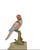 Bronze Ceramic Reggilibri Parrots from Royal Family, Set of 2, in New conditions. Designed from 2000 Stamped by Maker