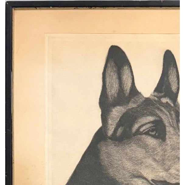 Wood Limited Edition Bert Cobb Signed Drypoint Etching German Shepherd Luchs 33 of 75 For Sale - Image 7 of 12