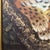 Vintage Wildlife Oil Painting on Canvas "Leopard Cub" Signed Framed For Sale - Image 12 of 12