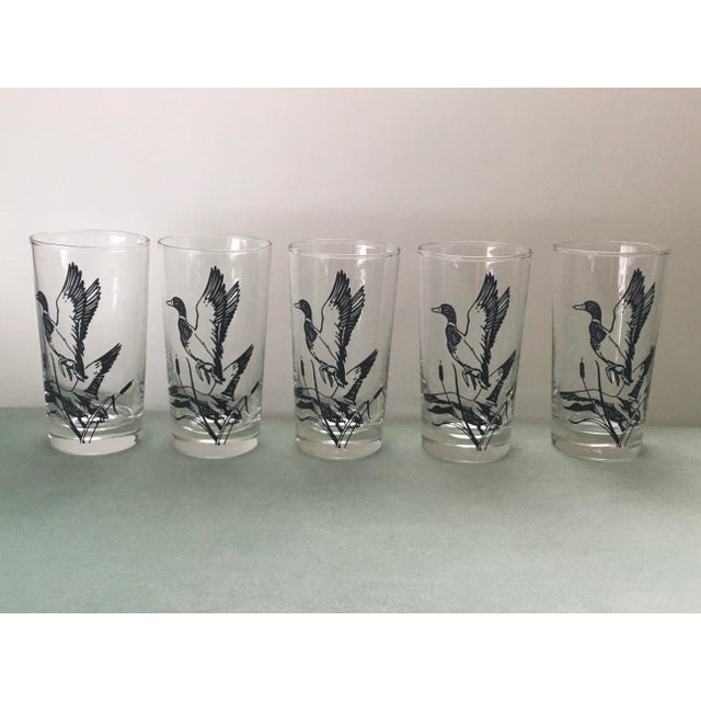 Libbey Glass Co. 1960’s Libbey Black Duck Pressed Glass Tumblers- Set of 5 For Sale - Image 4 of 13