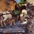 Donkey Tales 1 by Calvin Lai | Oil on Artefex panel of donkeys walking through a narrow path For Sale