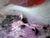 Ovidiu Kloska, Metaphysical Nocturne in Stardust, Mixed on Canvas For Sale - Image 12 of 13