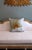 White Tree Peony Bloom in Rodin Museum Garden Paris Photo Pillow For Sale - Image 10 of 13
