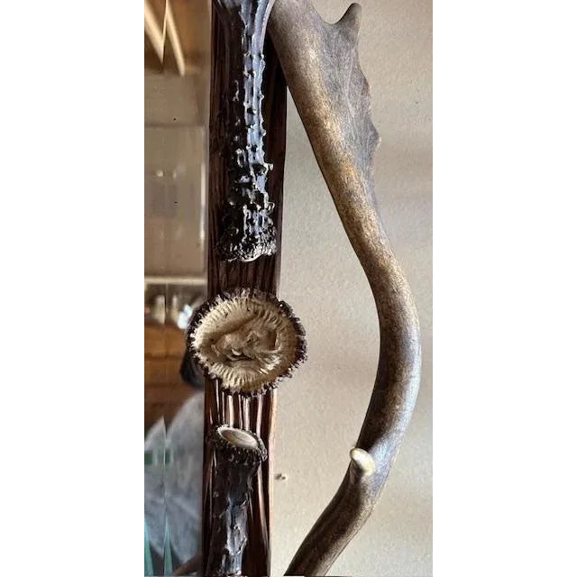 1900 - 1909 Antique German Antler Mirror With Carved Dog and Rosettes, Trophy-Style For Sale - Image 5 of 6