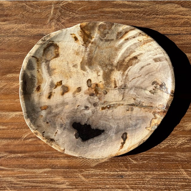 Small Trinket Dish in Beige Petrified Wood with Black Spots For Sale - Image 5 of 9