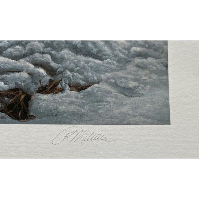 Paper Broken Silence - Mule Deer by Rosemary Millette - S/N Lithograph - Signed - Mint For Sale - Image 7 of 9