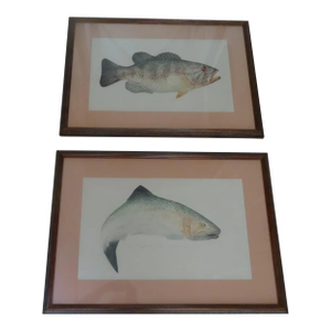 Late 20th Century Limited Edition Fish Lithographs a Pair, Framed