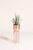 Contemporary 8" Inch Planter Stand - Peach For Sale - Image 3 of 5