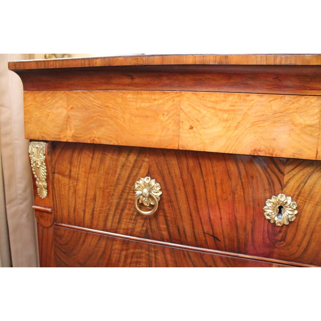 Chestnut Italian Neoclassical Commode With Exceptional Brass Hardware For Sale - Image 8 of 18