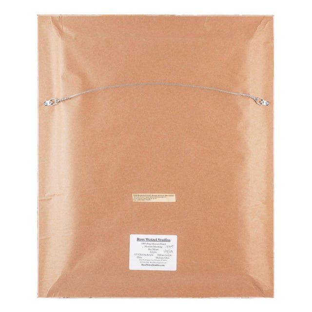 Botanical Specimen Rose by Dimitri Romanovski, C. 1950 For Sale In Chicago - Image 6 of 9