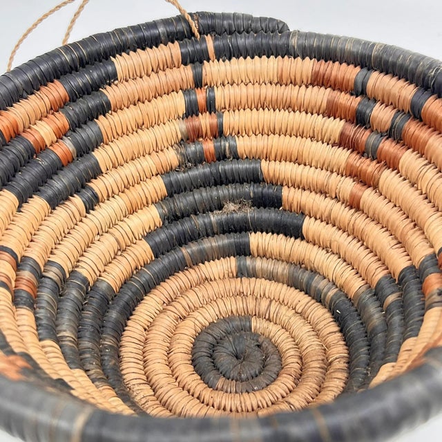 Early 20th Century Early 20th Century Botswana Basket 8inch MATTER COLLECTION For Sale - Image 5 of 6