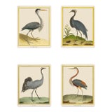 Blue Shore Bird Grouping by Martinet Set of 4 For Sale