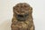 Mid 20th Century Early-Mid 20th Century Carved Female Foo Lion For Sale - Image 5 of 6
