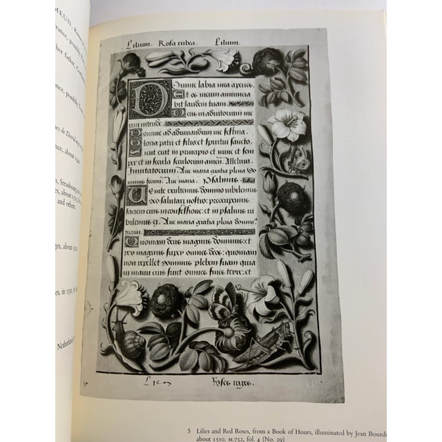 1980 Flowers in Books and Drawings Book For Sale - Image 10 of 13