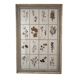Large 19th Century French Mounted Botanical Herbiers For Sale