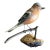 Wood Carved Bird 89 Austria For Sale