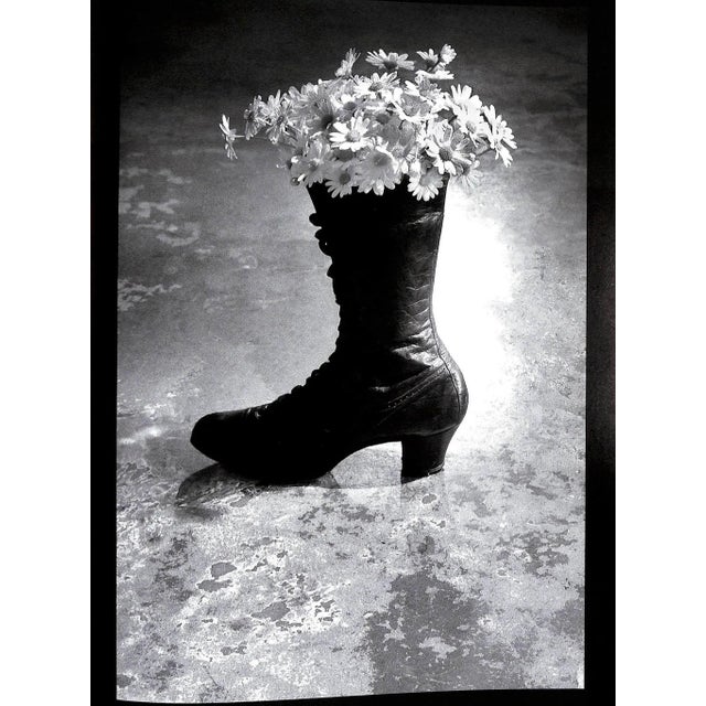 2000 - 2009 "Cowboy Kate & Other Stories Director's Cut" 2006 Haskins, Sam For Sale - Image 5 of 6