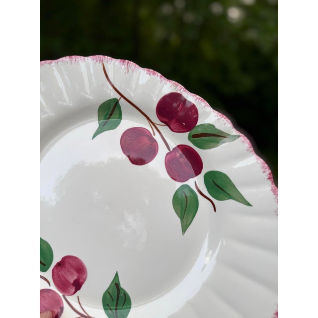 Vintage Blue Ridge Pottery Crab Apple Large Serving Platter For Sale - Image 6 of 8