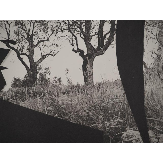 Pablo Picasso, Daytime, Jacqueline with the Trees, Original Phototype For Sale - Image 5 of 6