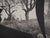 Pablo Picasso, Daytime, Jacqueline with the Trees, Original Phototype For Sale - Image 5 of 6