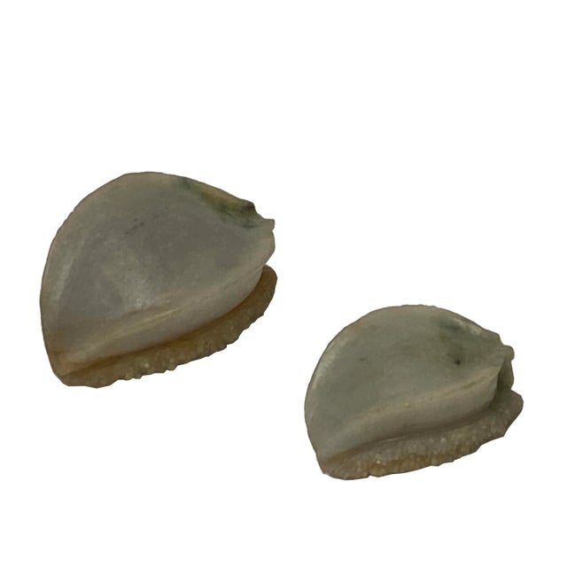 Lot 2 Stone Carved Abalone Shape Display Art For Sale - Image 4 of 6
