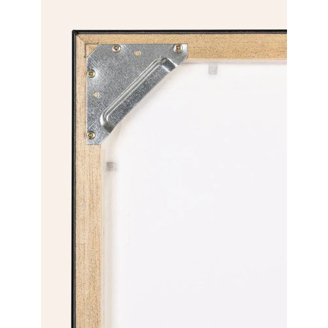 Fred nömeier river landscape in the evening sun with reflections of the shore plants in the water. Next heaven with...