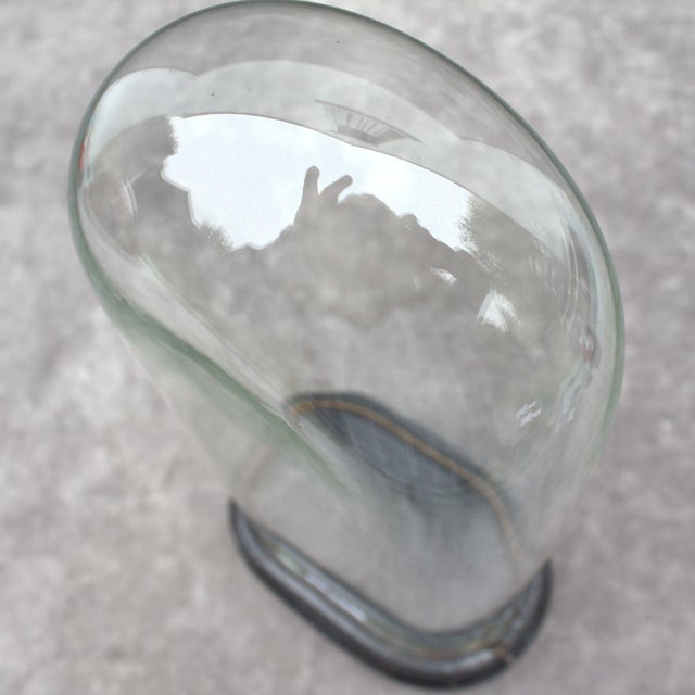 Late 19th Century Antique Oval Glass Dome 15.16 X 7.09 X 3.94 Special Size Bell Jar Victorian Era 38,5 X 18 X 10 Cm Unique Collectible Timepiece Home Decor For Sale - Image 5 of 11