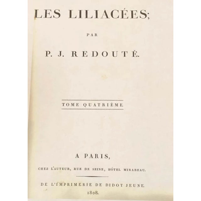 Sculpture Materials Convallaria Majalis Print Hand Colored Engraving Signed p.j. Redoute For Sale - Image 7 of 13