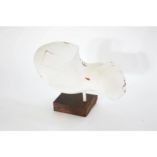 Amorphic sculpture by unknown artist. A wonderful organic shape and warm patina make this a great piece in any room.