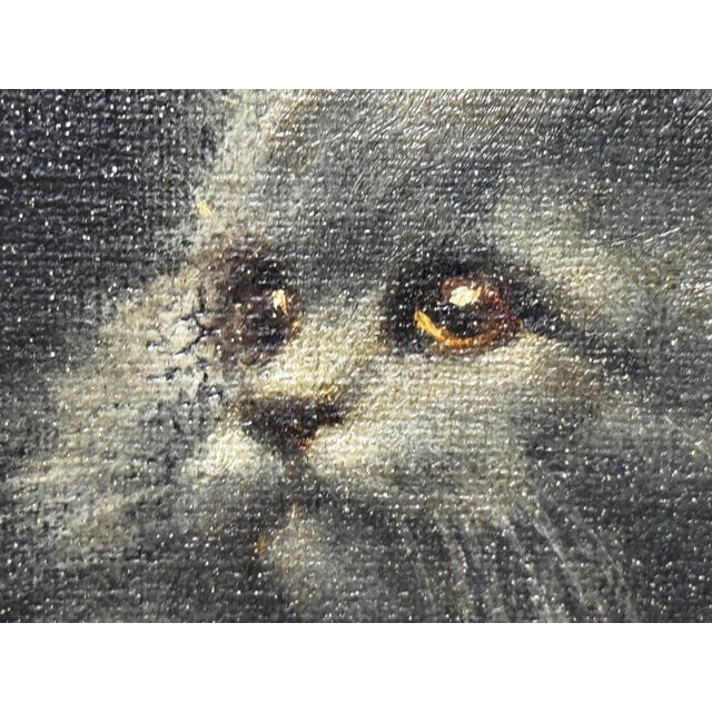 British Persian Cat Oil Painting by Agnes Augusta Talboys Rwa With Decorative Tea Service For Sale - Image 6 of 18