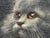 British Persian Cat Oil Painting by Agnes Augusta Talboys Rwa With Decorative Tea Service For Sale - Image 6 of 18
