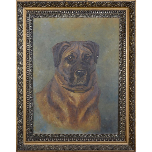 Antique Oil on Canvas Framed Dog Portrait Chairish