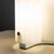 Plastic Mezzachimera Lamps by Vico Magistretti for Artemide, 1969, Set of 2 For Sale - Image 7 of 11