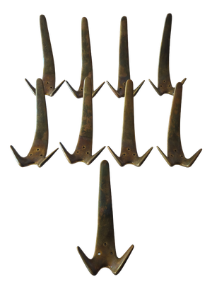 Brass Model 4056 Wall Hooks from Carl Auböck, 1950s, Set of 9