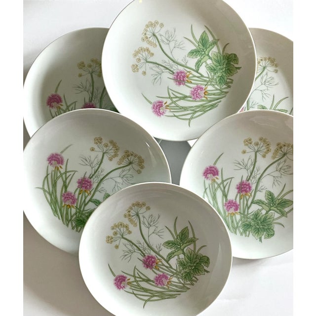 Shafford China Late 20th Century ‘Herbs & Spices’ Salad Plates by Shafford - Set of 6 For Sale - Image 4 of 7